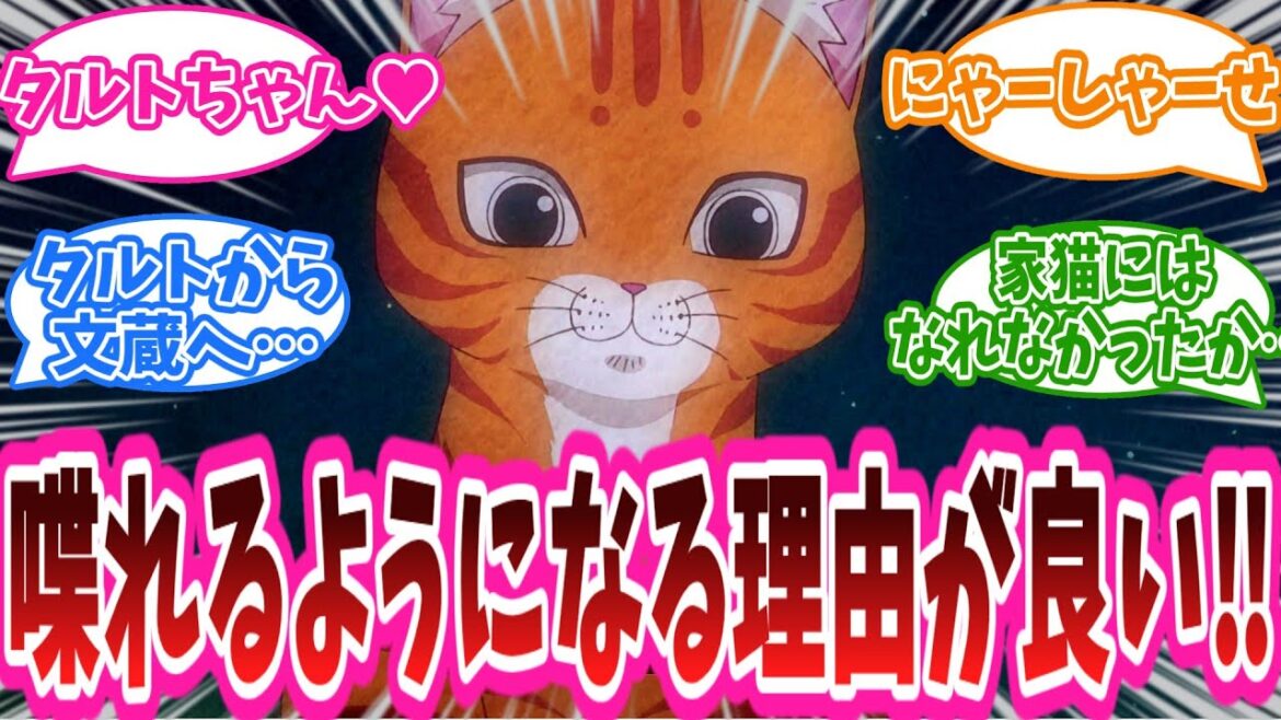 「喋れるようになる理由が良い‼」アニメ『ラーメン赤猫』11話に対する視聴者の反応集【ラーメン赤猫】 「喋れるようになる理由が良い‼」アニメ『ラーメン赤猫』11話に対する視聴者の反応集【ラーメン赤猫】