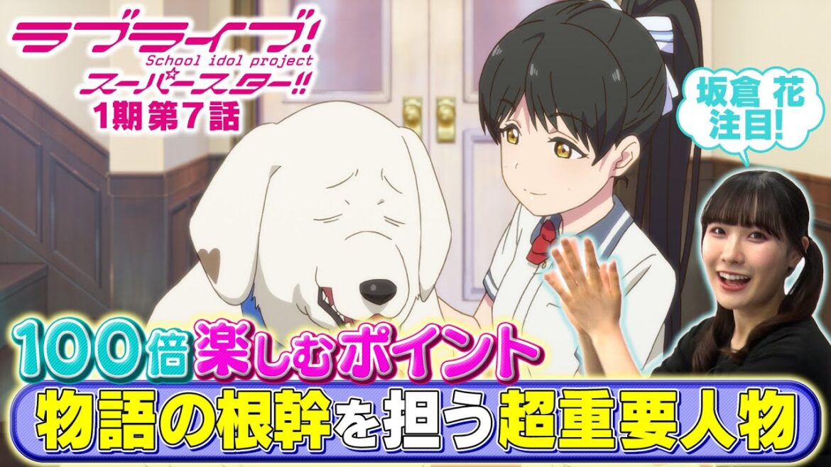 【1期 第7話】たった5分で100倍楽しめちゃう♪坂倉 花が語る ラブライブ！スーパースター!!