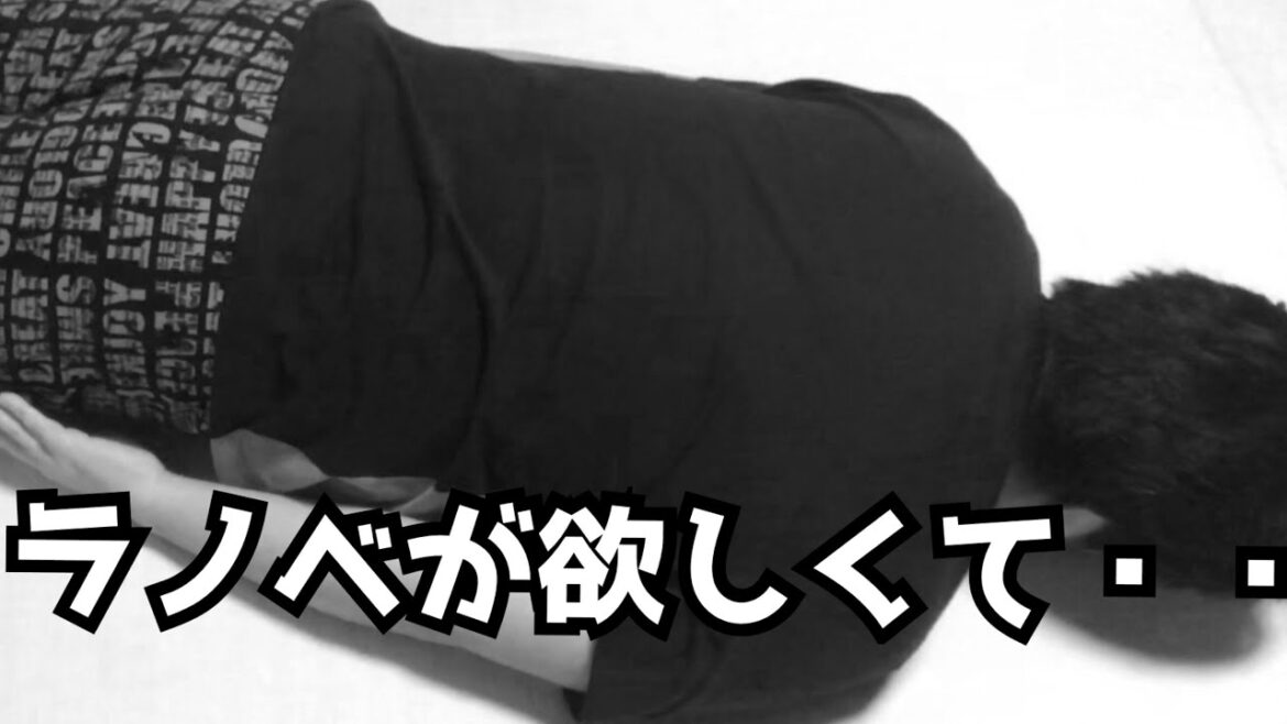 100万年ぶりにラノベを買った。 100万年ぶりにラノベを買った。