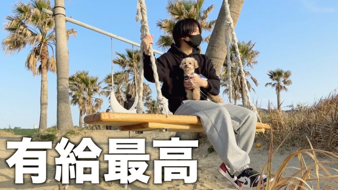 【逃亡生活】有給を使い切って犬と実家に帰省しました/トイプードル