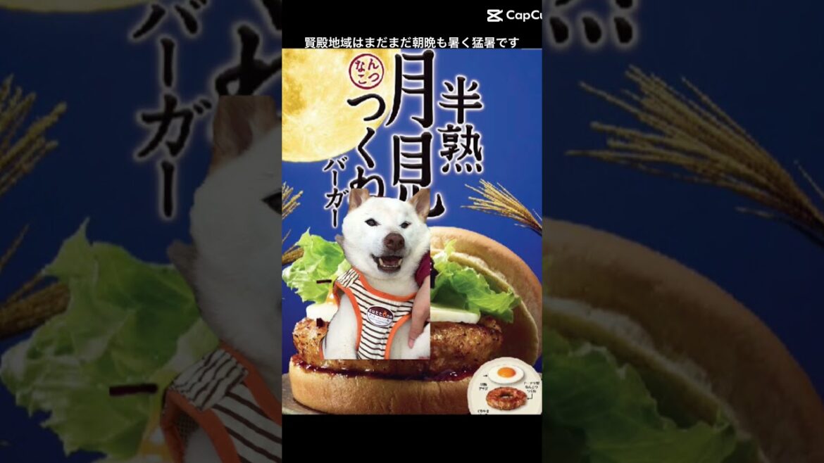賢殿月見つくねバーガーは如何ですか？#shorts#賢殿