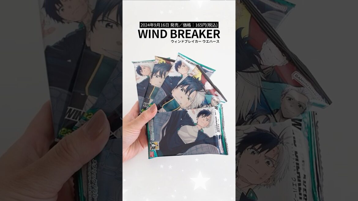 9/16発売🌟『WIND BREAKER ウエハース』GETしたので開封するよん⚡️#shorts #windbreaker
