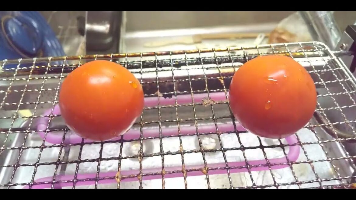 料理 焼きトマトWithアミ焼き大将 #cooking #おうちごはん 料理 焼きトマトWithアミ焼き大将 #cooking #おうちごはん