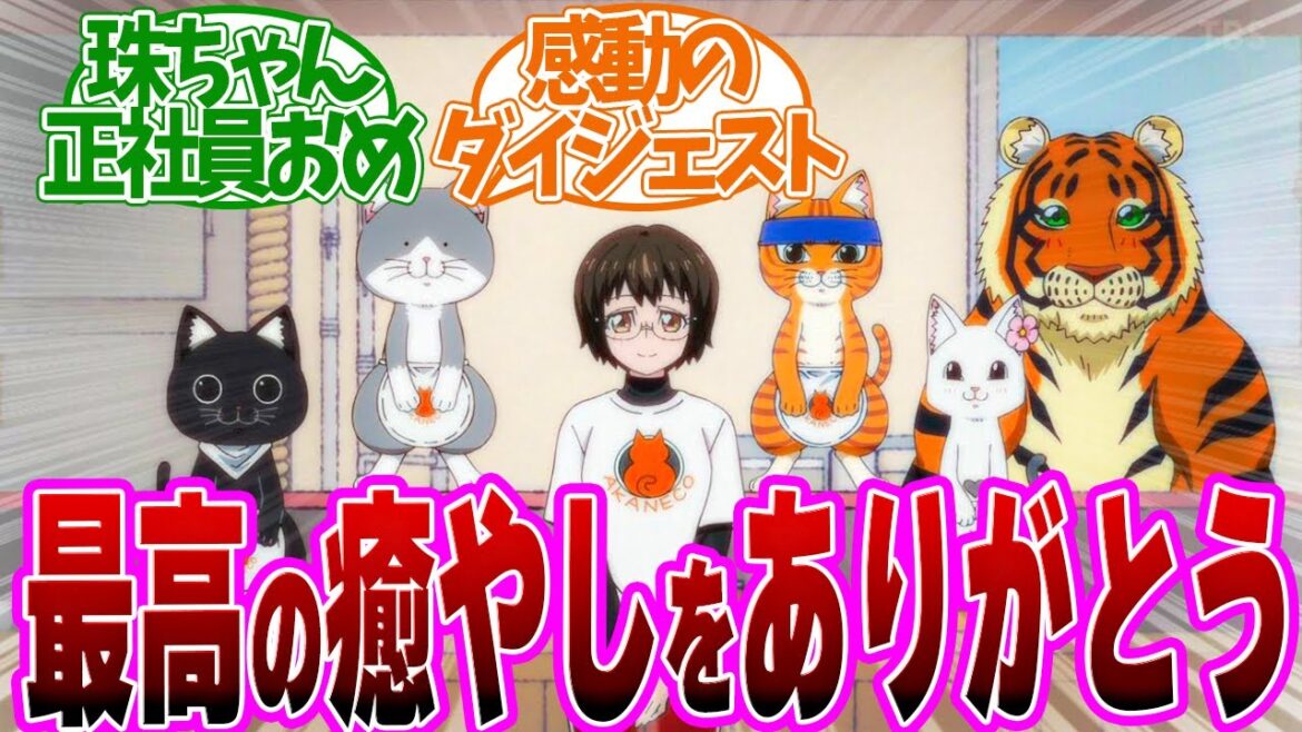 【 赤猫 12話 】感動！珠ちゃん正社員おめでとう！第１２話の読者の反応集【 アニメ ラーメン赤猫 】
