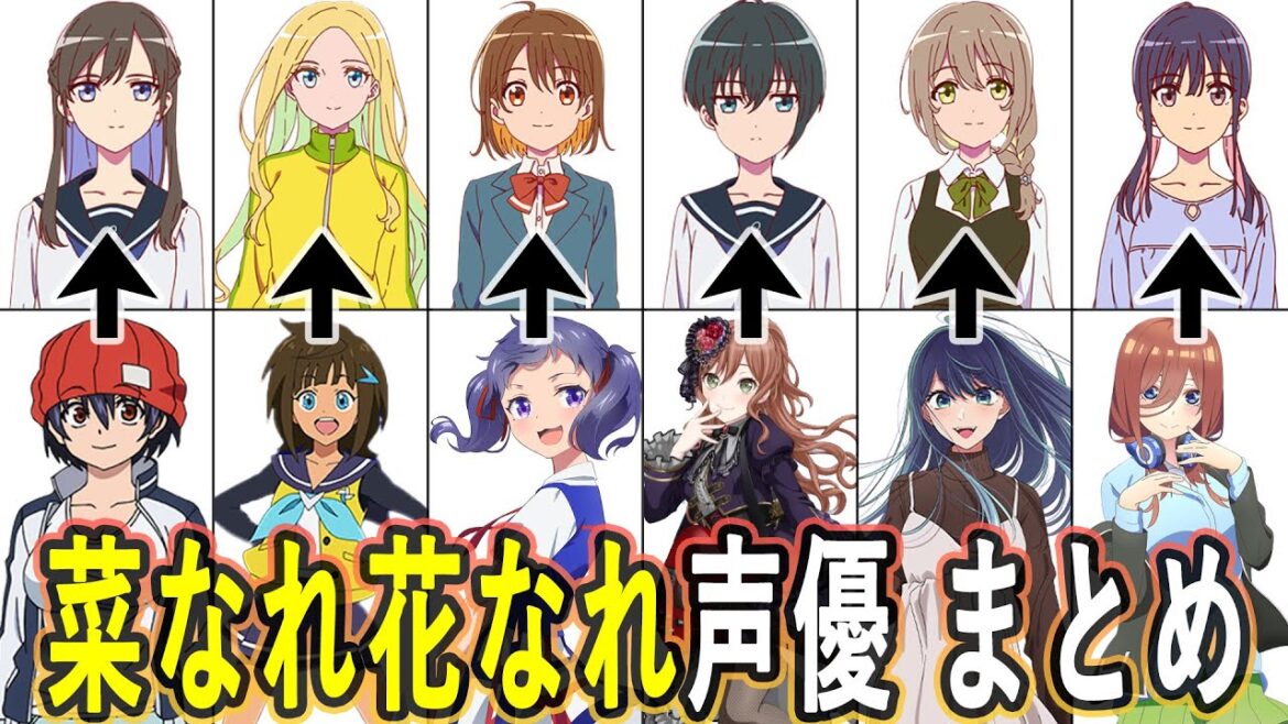 「菜なれ花なれ」声優 出演作まとめ