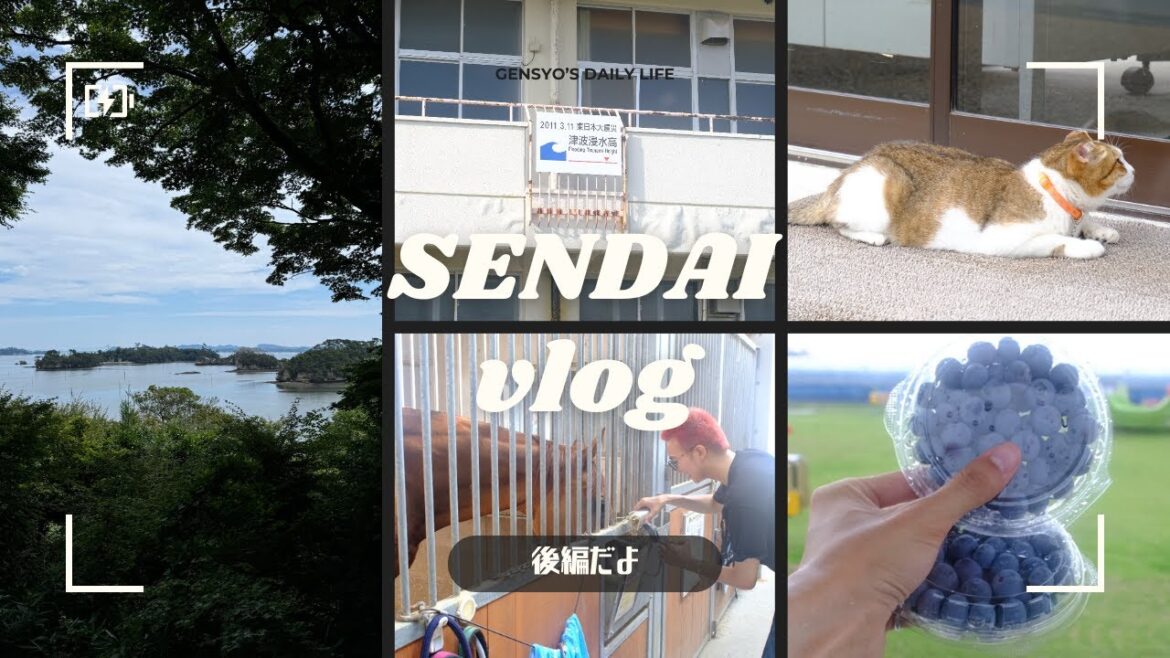 【Vlog】3.11を改めて心に銘じる仙台旅！あの松島の美しさに魅了された！？｜仙台vlog後編