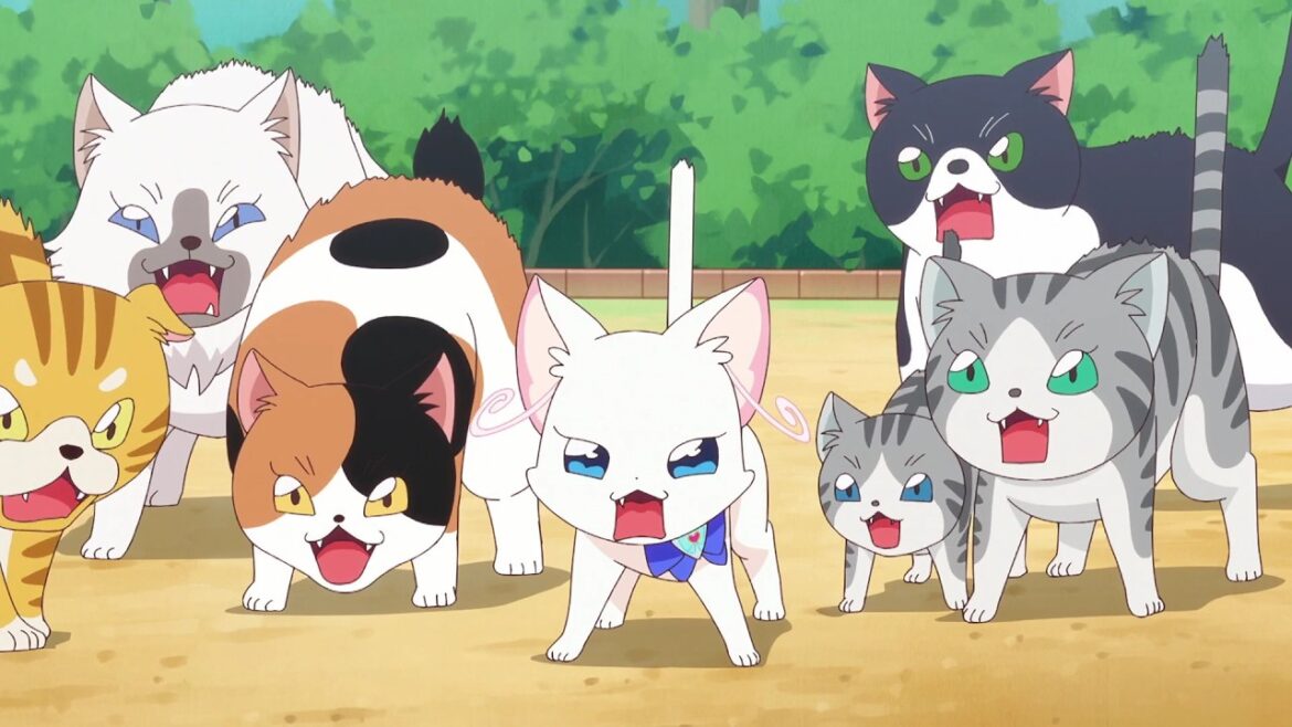 わんだふるぷりきゅあ! 第34話予告 (@PrettyTrad)