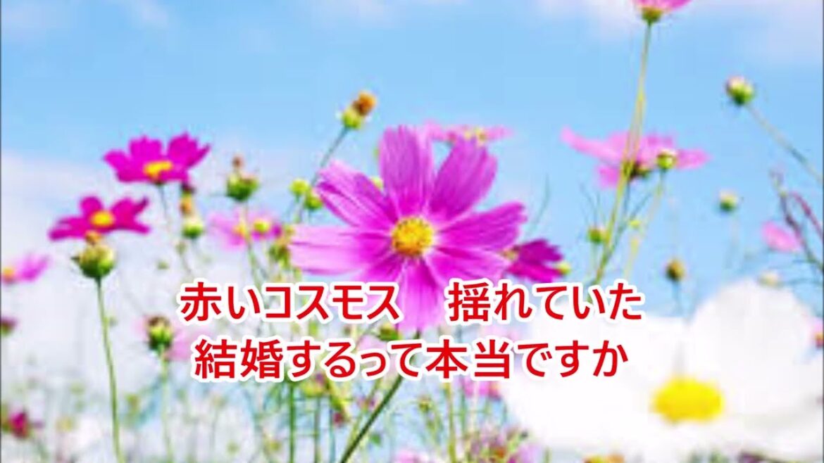 結婚するって本当ですか　ダ・カーポ　【男性パート】