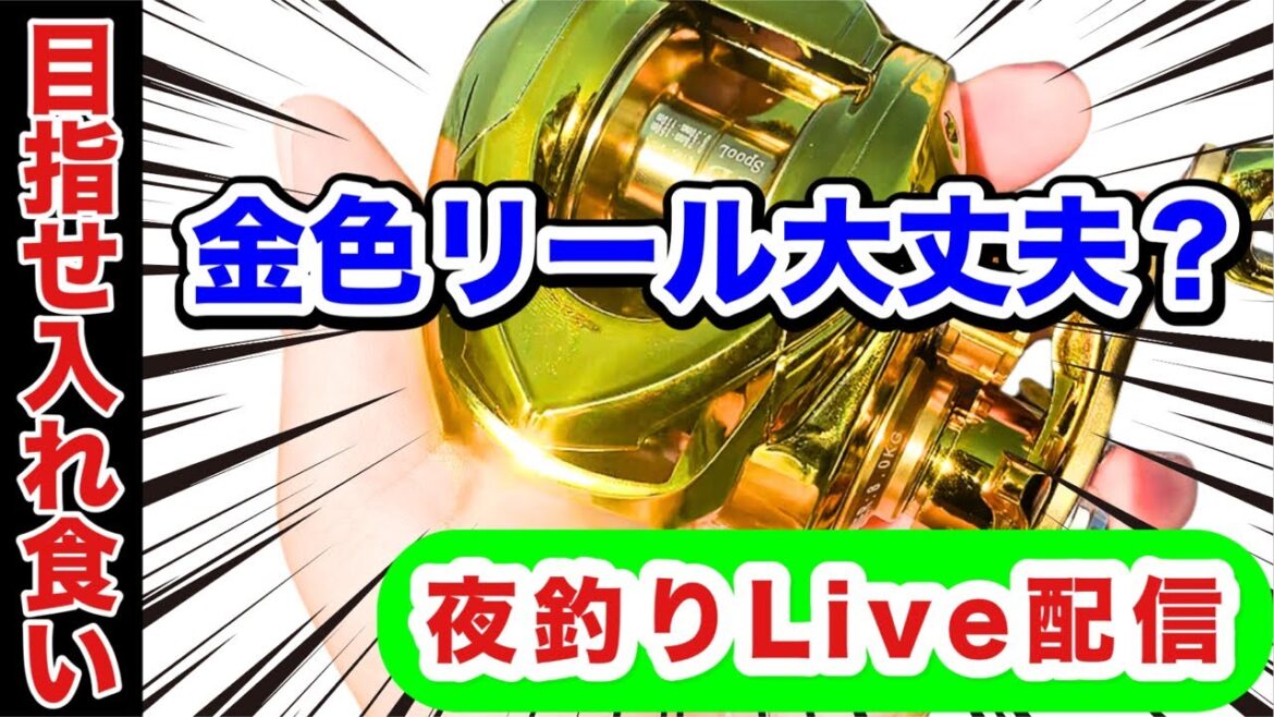 夜釣りライブ配信！シマノのアレ大活躍！怪しい激安通販Temuの金色のベイトリールは釣れるのか？釣光TV [ TURIKOU TV Fishing ch.] ツリコウtv がライブ配信中！