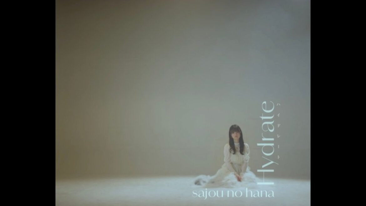 sajou no hana「ハイドレート」(Music Video)