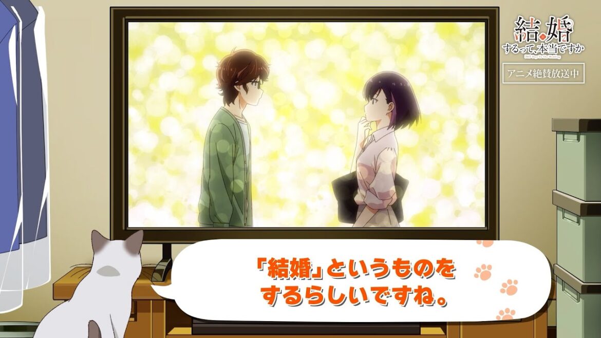 TVアニメ「結婚するって、本当ですか」かまの振り返り&予告① TVアニメ「結婚するって、本当ですか」かまの振り返り&予告①