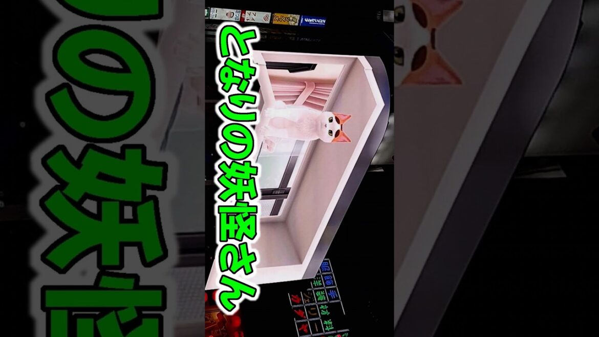 ～ となりの妖怪さん ～ フルバージョン 【東京観光】 新宿 猫 看板