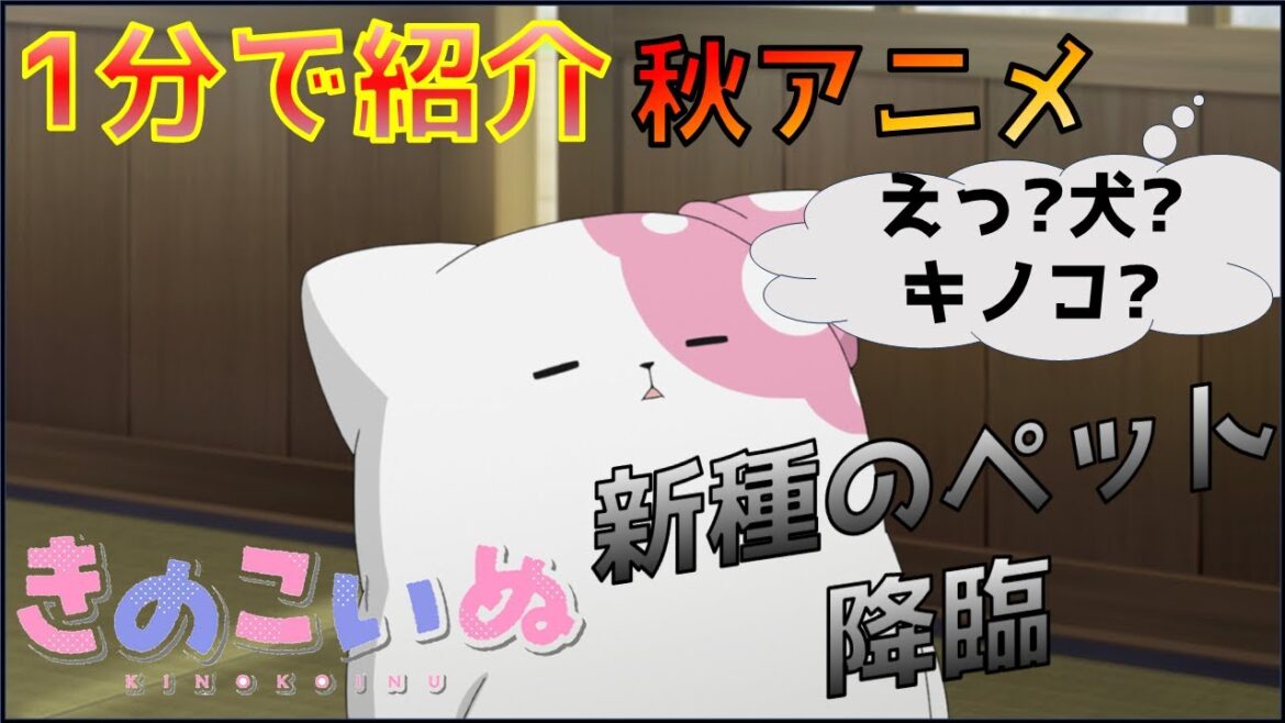 【2024年秋アニメ】今期の動物系癒やし枠はココですか?じめじめ系日常作品「きのこいぬ」を紹介