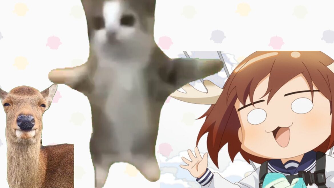 【catmeme】ねこのこチピチピこしたんたん【音MAD】#猫ミーム #猫マニ #猫マニア #しかのこのこのここしたんたん #しかのこ #シカ色デイズ  #catmeme #音MAD