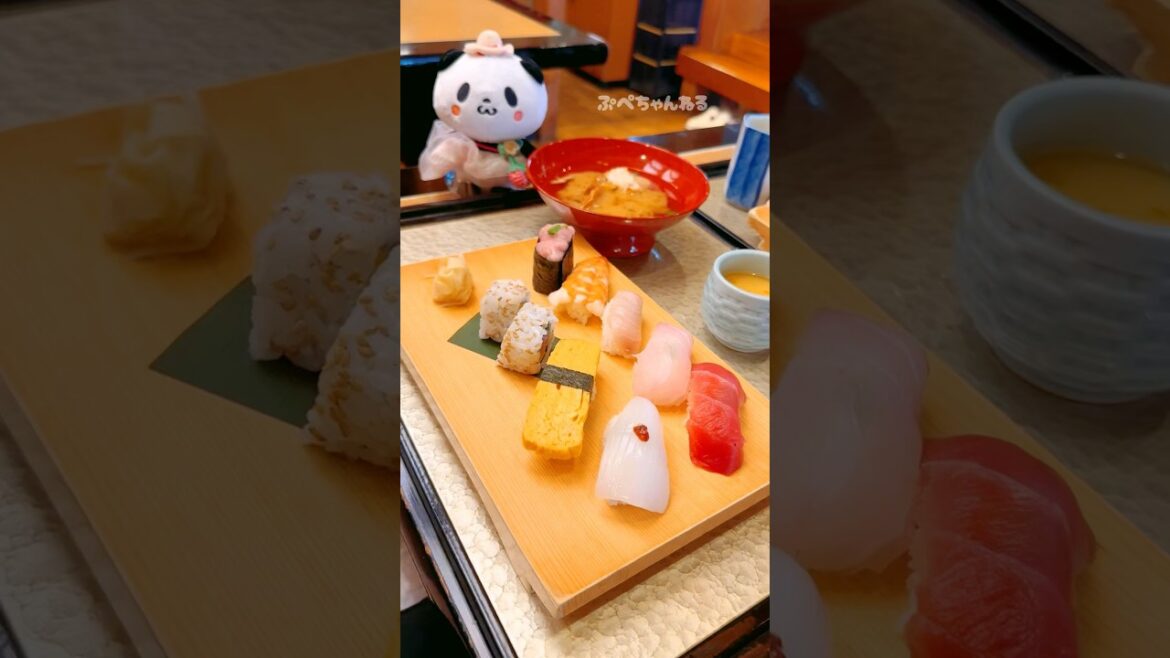お買いものパンダぬいぐるみ🐼和食レストランせんざんへ 寿司ランチを食べにいく（ぬい撮り）