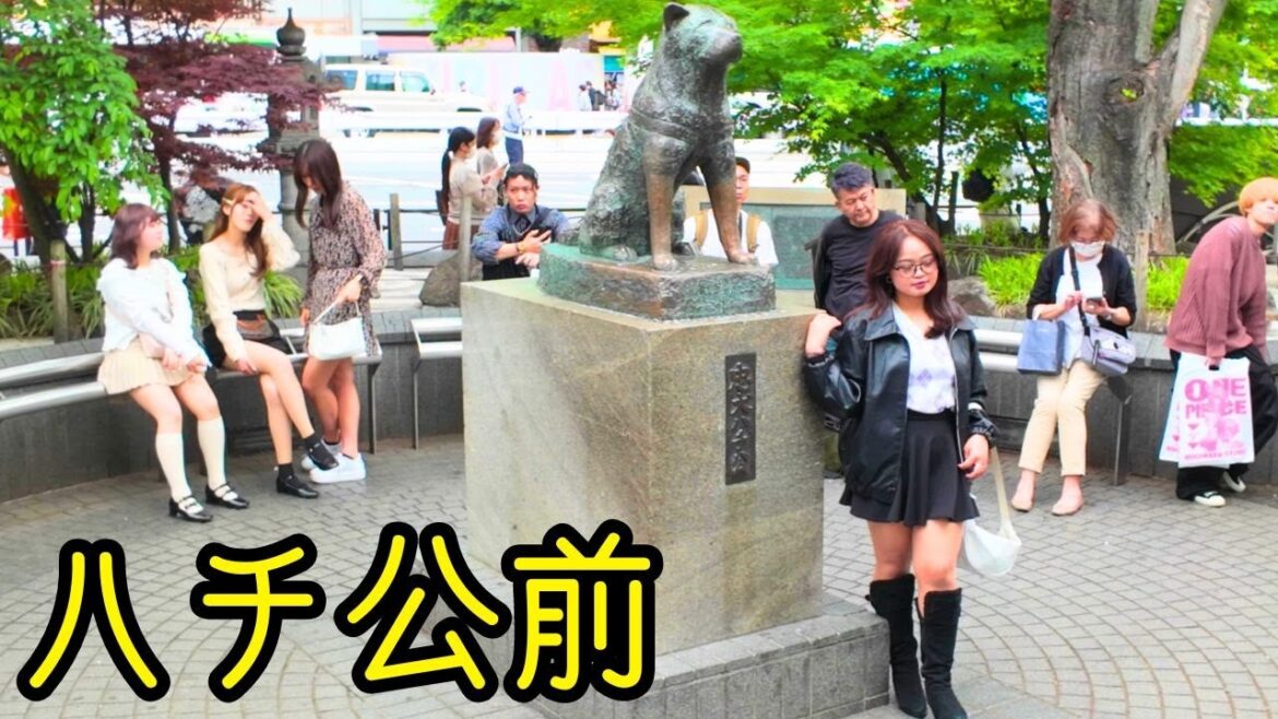 Super popular Hachiko Statue & Shibuya Crossing on Long Holiday in Shibuya, Tokyo JP  4K 60fps