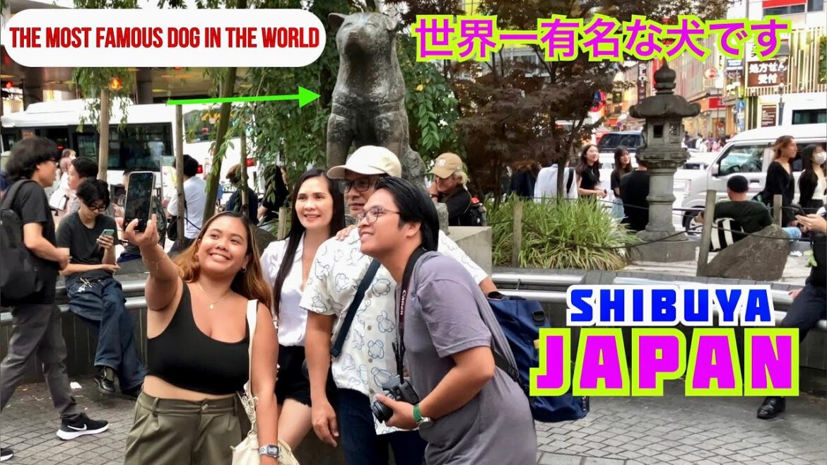🌸世界一有名な犬です, Visit Hachiko Statue (ハチ公像) Shibuya お散歩, Tokyo, Japan 4k || 🌸世界一有名な犬です, Visit Hachiko Statue (ハチ公像) Shibuya お散歩, Tokyo, Japan 4k ||