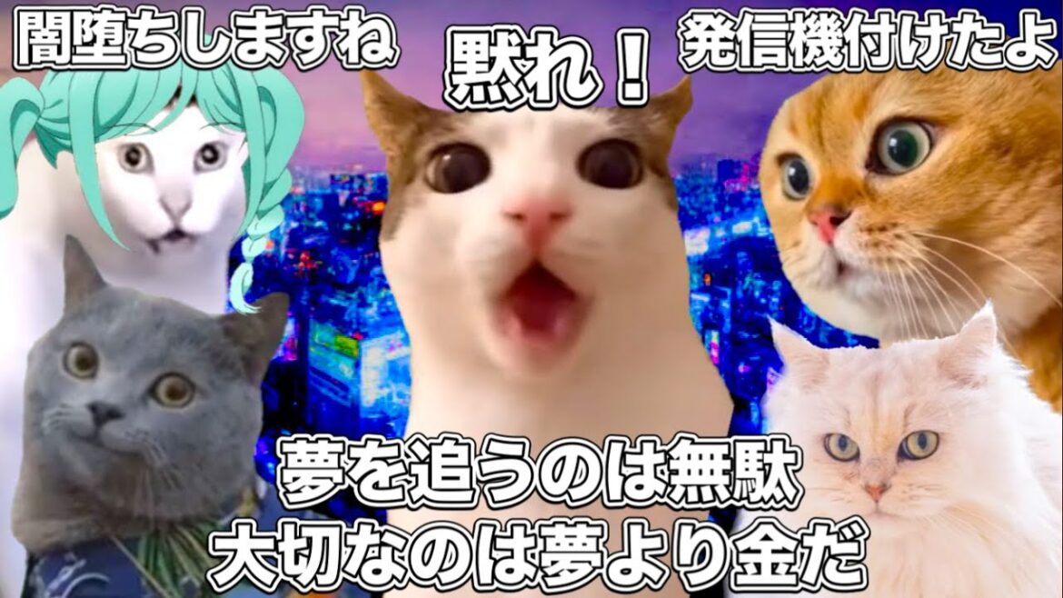 1分で分かる『ラブライブ!スーパースター!!』3期 第4話【猫ミーム】 #猫マニ #猫ミーム 1分で分かる『ラブライブ!スーパースター!!』3期 第4話【猫ミーム】 #猫マニ #猫ミーム
