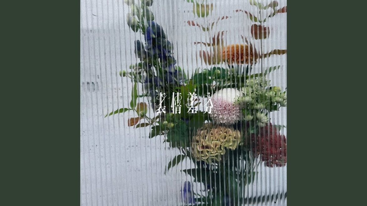表情差分