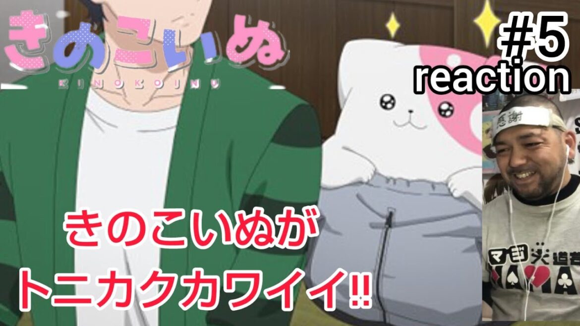 きのこいぬ 5話 リアクション 【きのこいぬがトニカクカワイイ!!】 KINOKOINU ep5 reaction 同時視聴 反応 #きのこいぬ