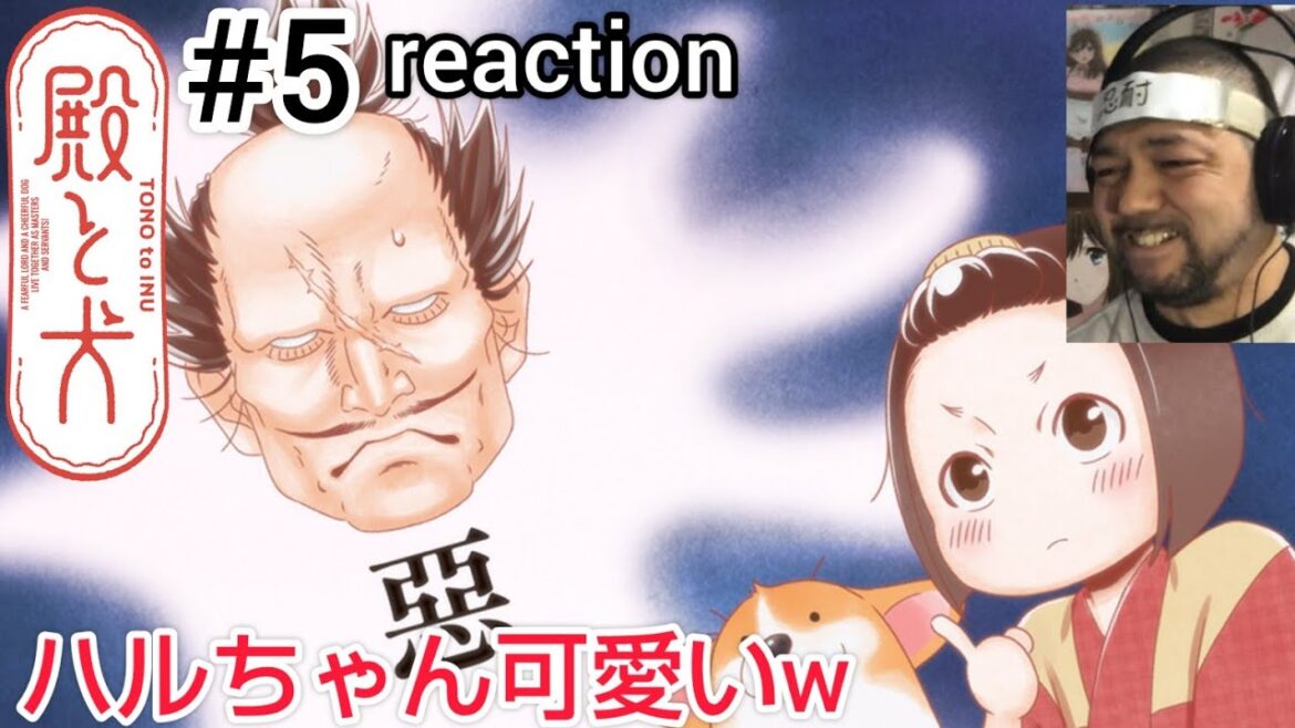 殿と犬 5話 リアクション 【これは可愛い癒し動画の鉄則!!】 TONO to INU ep5 reaction 同時視聴 反応 #殿と犬