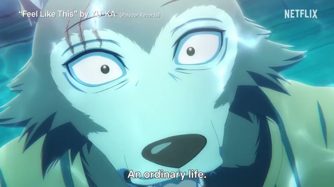 BEASTARS FINAL SEASON (Part 1) ---- Official Trailer