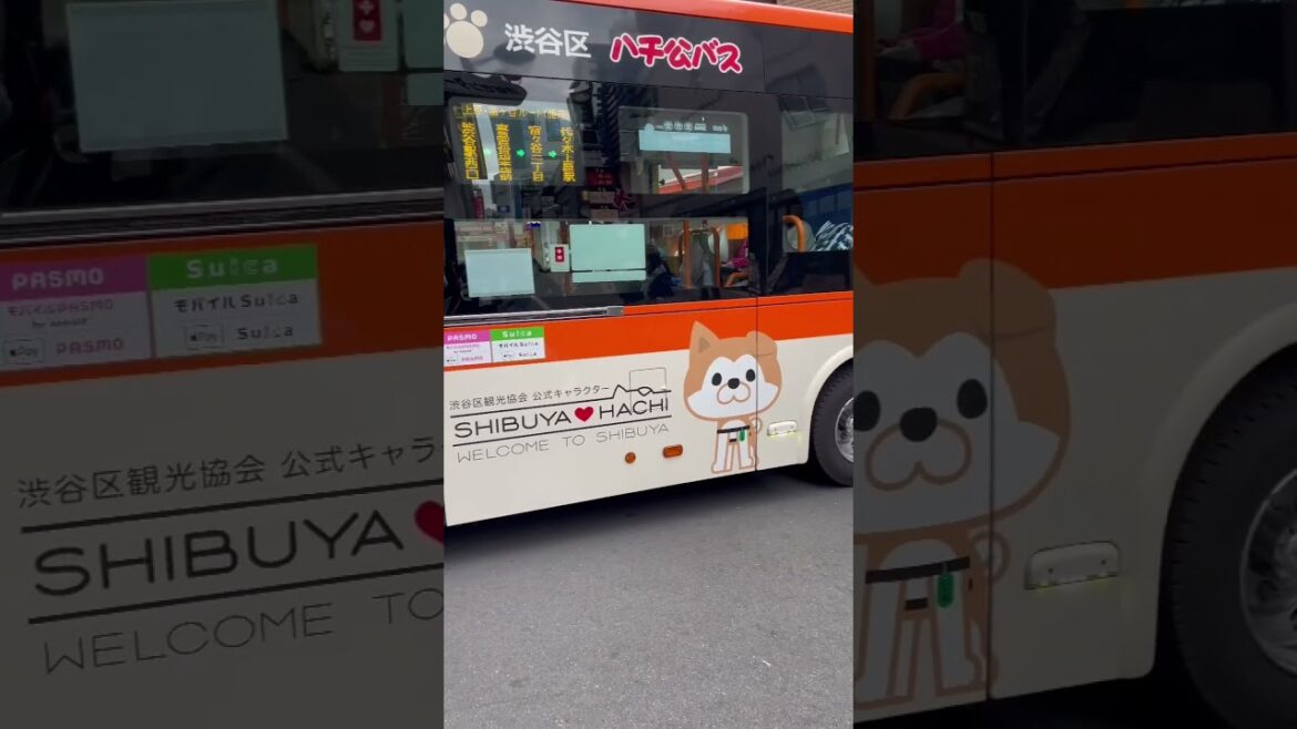 Shibuya hachi Bus 🚌