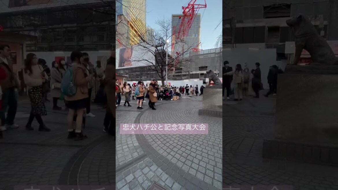 #ショート #japan #tokyo #ハチ公#記念写真#渋谷#有名スポット#hachi