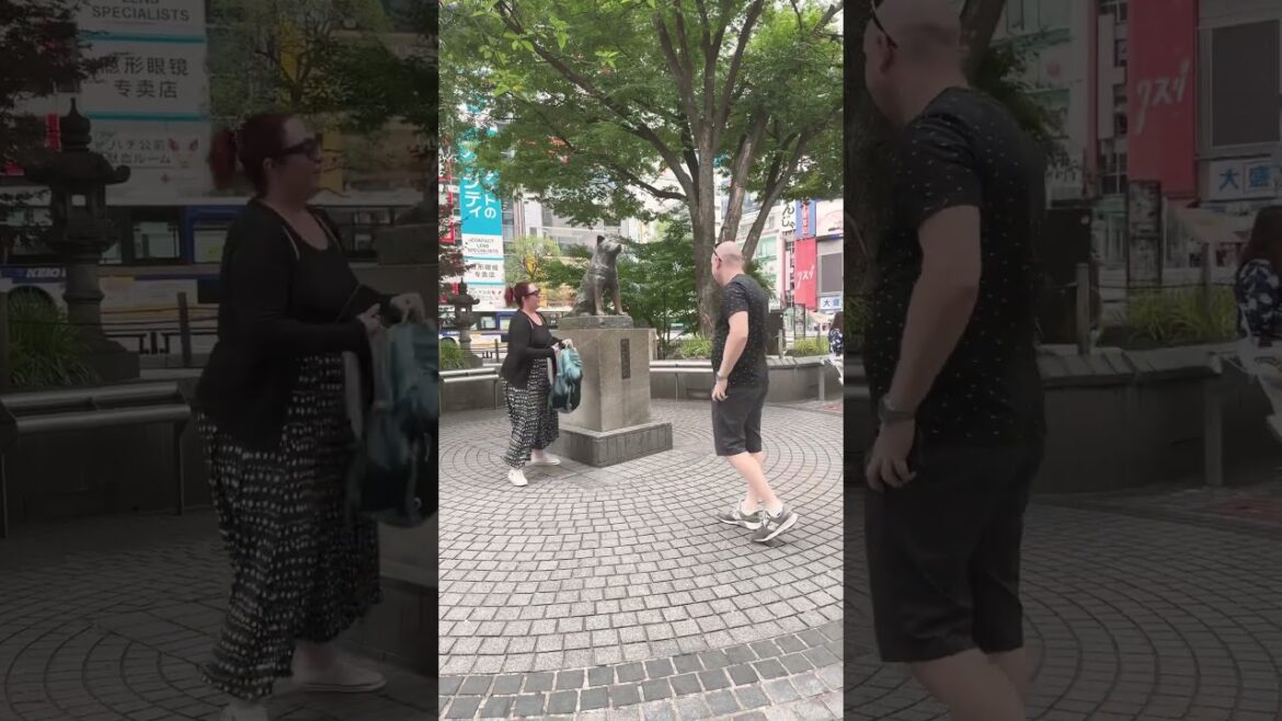 Tokyo, Shibuya: Hachi-kō