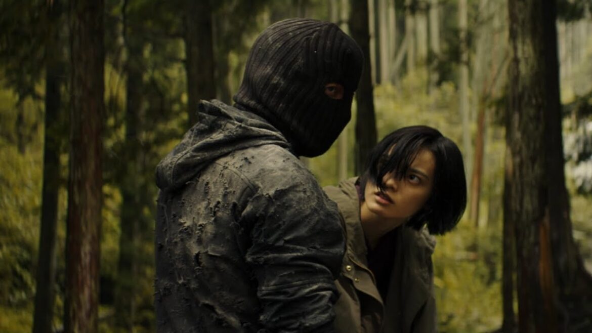 「ヤクザ映画」ザ･ファブル 「殺さない殺し屋  ザ･ファブル 殺さない殺し屋」 ✔️📀📽️サスペンスドラマ最新2024