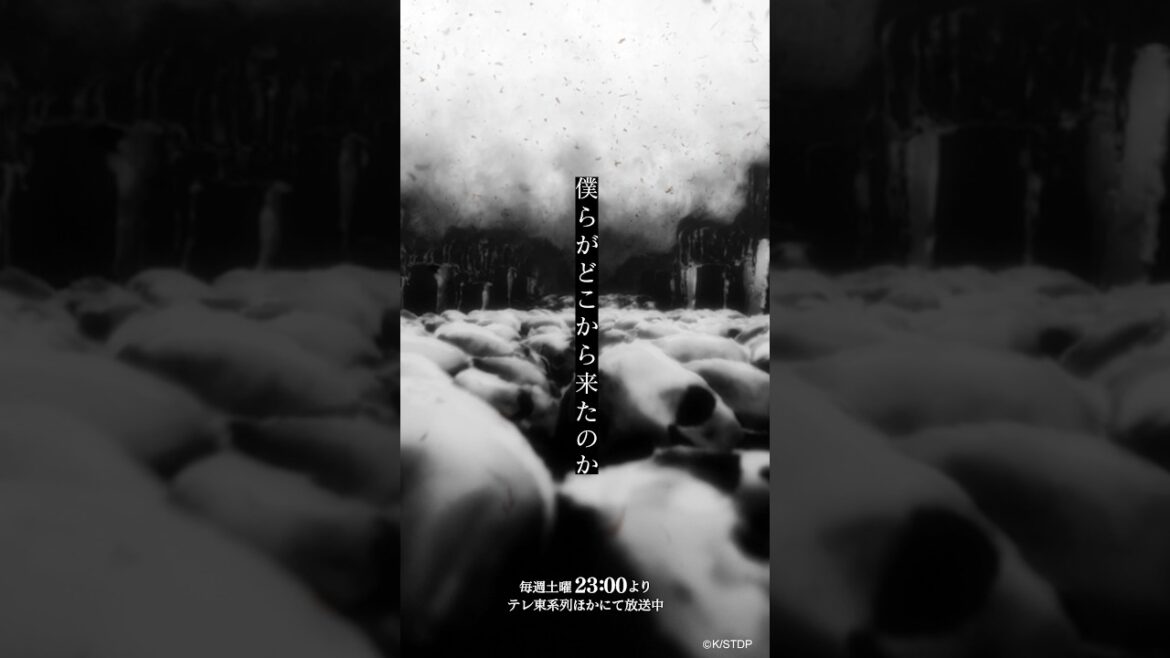 水槽 「MONOCHROME」 TV アニメ『BLEACH 千年血戦篇-相剋譚-』EDテーマ#NewMusic #BLEACH #bleachanime #animesong #アニメ #アニソン 水槽 「MONOCHROME」 TV アニメ『BLEACH 千年血戦篇-相剋譚-』EDテーマ#NewMusic #BLEACH #bleachanime #animesong #アニメ #アニソン