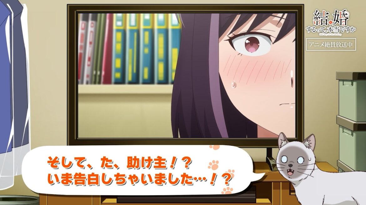 TVアニメ「結婚するって、本当ですか」かまの振り返り&予告⑦ TVアニメ「結婚するって、本当ですか」かまの振り返り&予告⑦