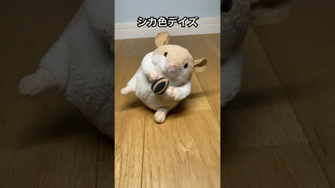 【踊ってみた】しかのこのこのここしたんたん公式OP シカ色デイズ#shorts  #しかのこのこのここしたんたん #シカ色デイズ