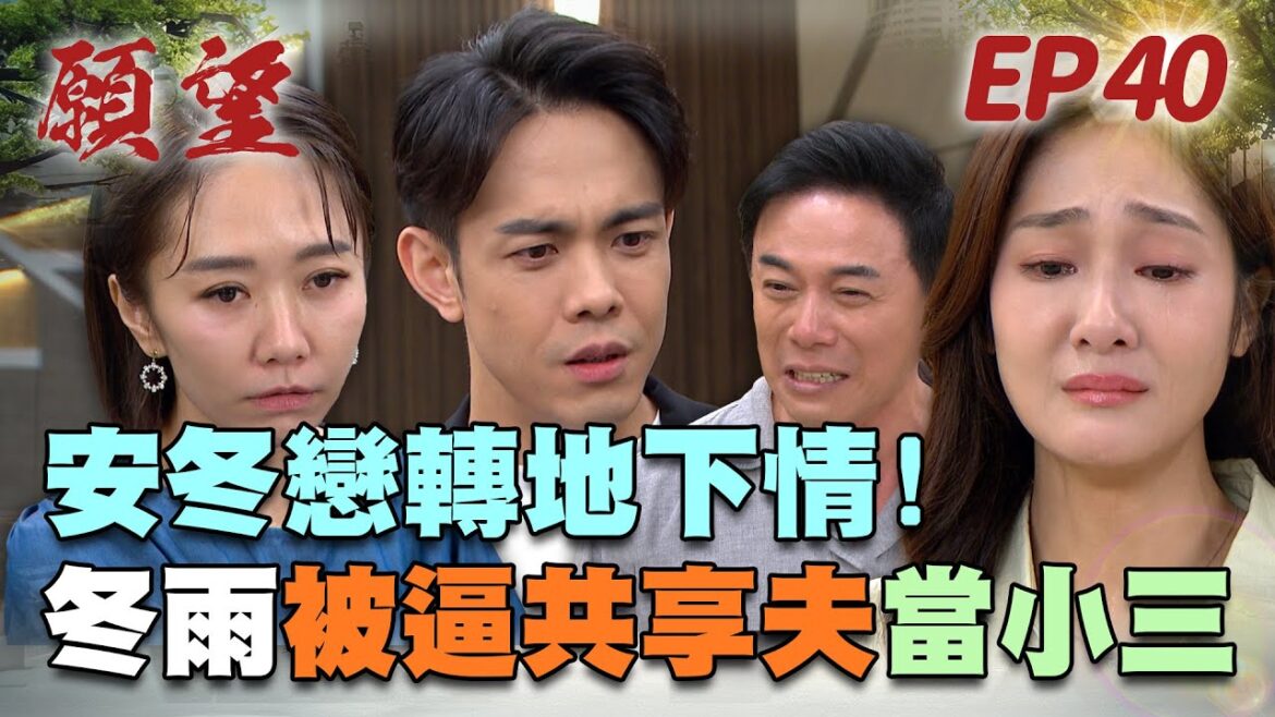 願望 EP40 完整版｜企業聯姻進行中！冬雨被逼當地下情人 添貴竟爆揍安迪？！美妍厚臉皮無上限 當眾挑釁正宮！｜Desires｜【蘿琳亞塑身衣】