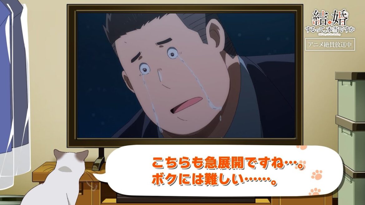 TVアニメ「結婚するって、本当ですか」かまの振り返り&予告⑧ TVアニメ「結婚するって、本当ですか」かまの振り返り&予告⑧