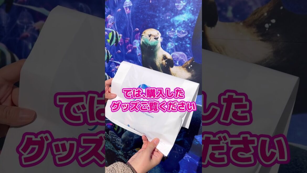 人気アニメ夜のクラゲは泳げないコラボグッズを買いに大洗水族館に行ってきた　#ヨルクラ #anime #水族館