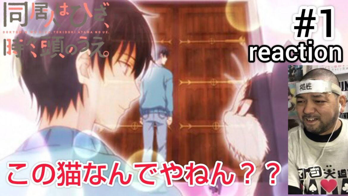 同居人はひざ、時々、頭の上。”にゃんコレver.” 1話 リアクション 【何で猫やのに!?気になるな〜！】My Roommate Is a Cat ep1 reaction 同時視聴 反応