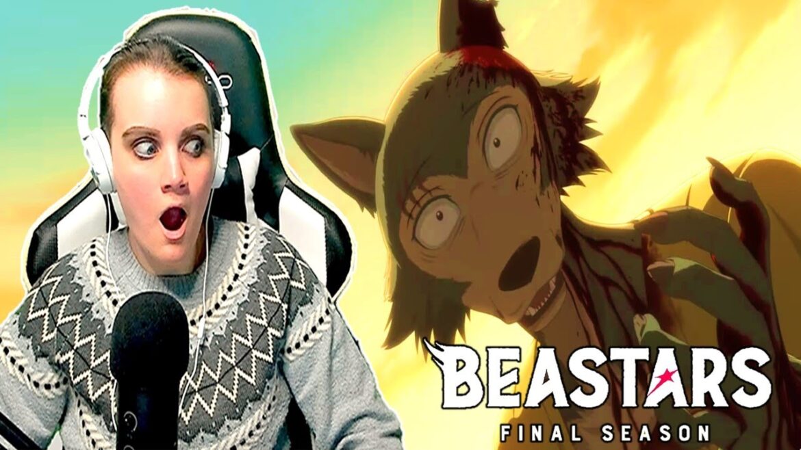 NOT A PURE-BLOODED WOLF! I Official Trailer Reaction of Beastars Final Season I Part 1 I Netflix