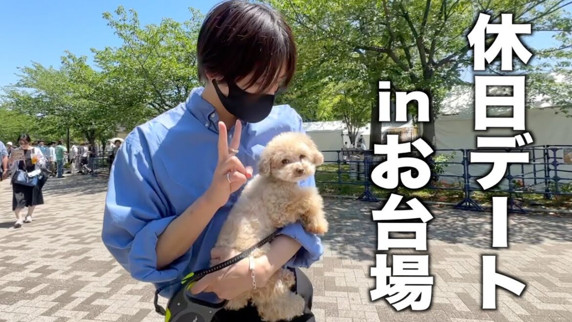 トイプードルと夏が来る前に1日デートに行ったら楽し過ぎた【お台場】
