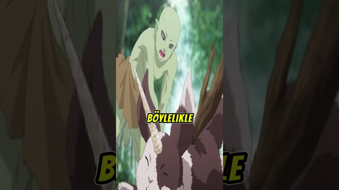 Goblin Slayer Abimiz Bu Animeyi Görmesin ( Re:Monster )