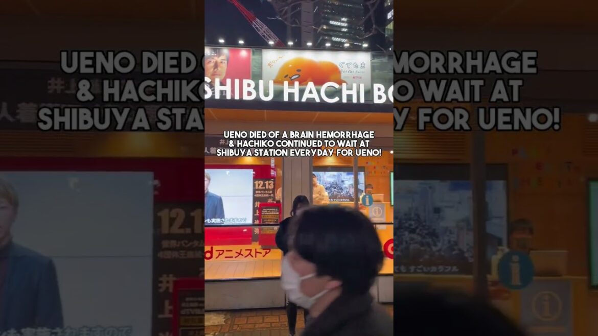 Hachiko Memorial Statue at Shibuya Station Japan! A dog story of Loyalty and Love!