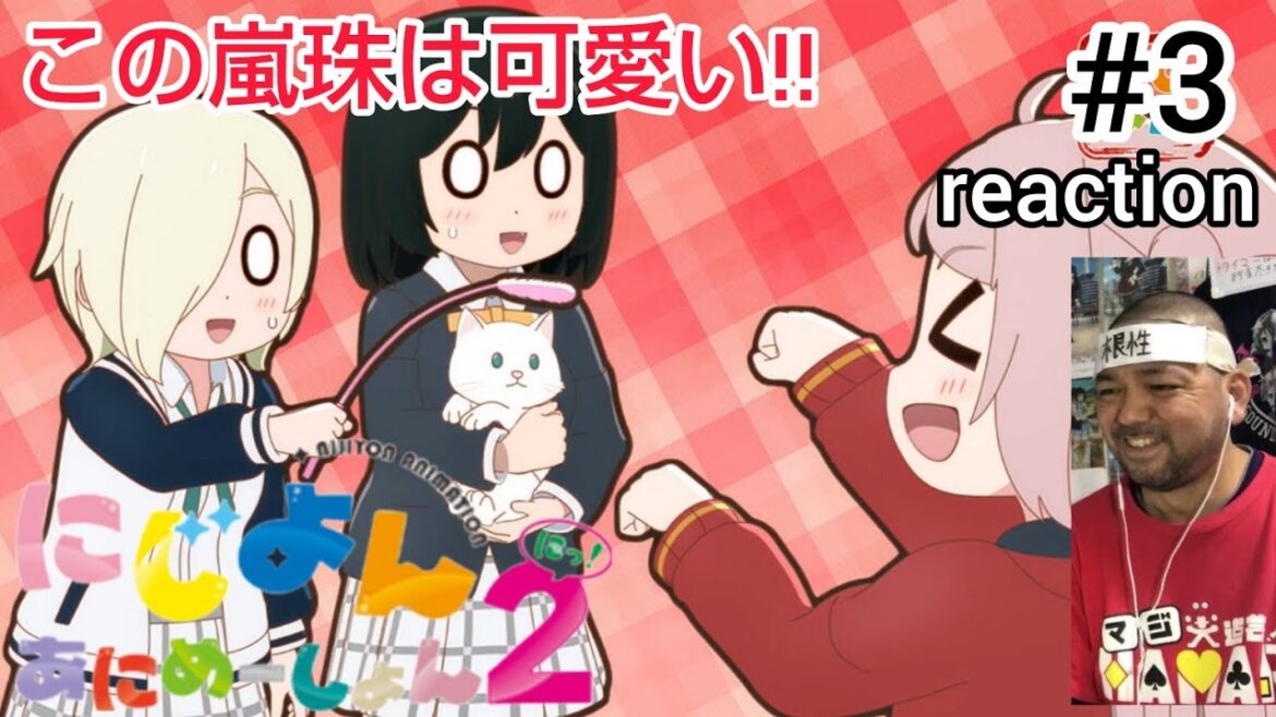 にじよん あにめーしょん2 3話 リアクション 【アイキャッチが良いね〜！】 NIJIYON ANIMATION2 ep3 reaction 虹ヶ咲学園スクールアイドル同好会 反応 同時視聴