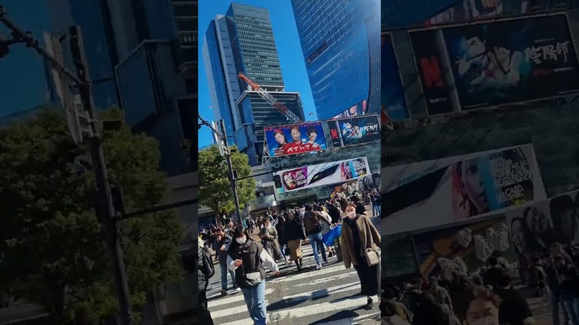 Crossing  Shibuya. Encontrarás la estatua Hachiko el perrito q esperaba a su Dueño   regreso de trab