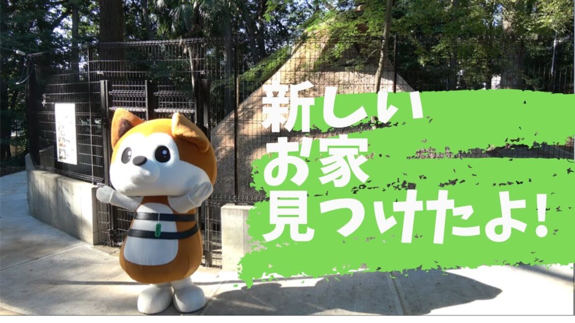 SHIBUYA♡HACHI #11 「新しい……！」