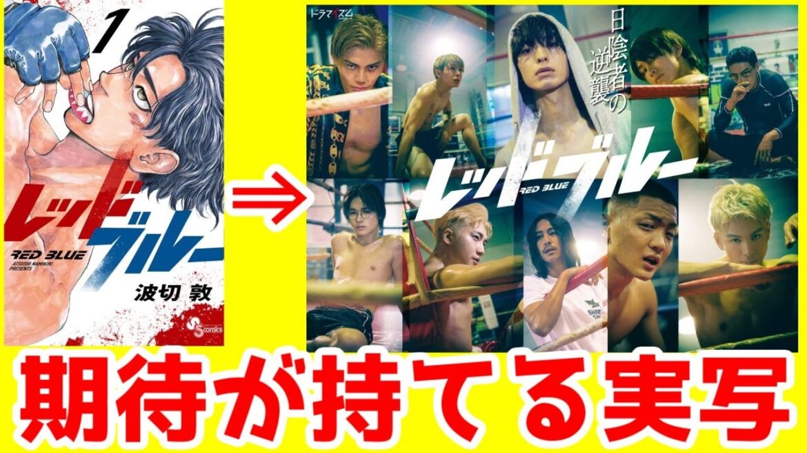 【高評価？】サンデーのMMA(総合格闘技)漫画の実写が好評？「レッドブルー」1話ドラマレビュー【前番組は実写着せ恋】【2025年冬ドラマ】