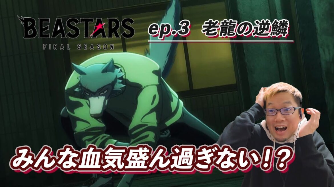 【同時視聴】BEASTARS final season part 1 episode 3 リアクション【ビースターズ】#同時視聴 #beastars #animereaction 【同時視聴】BEASTARS final season part 1 episode 3 リアクション【ビースターズ】#同時視聴 #beastars #animereaction