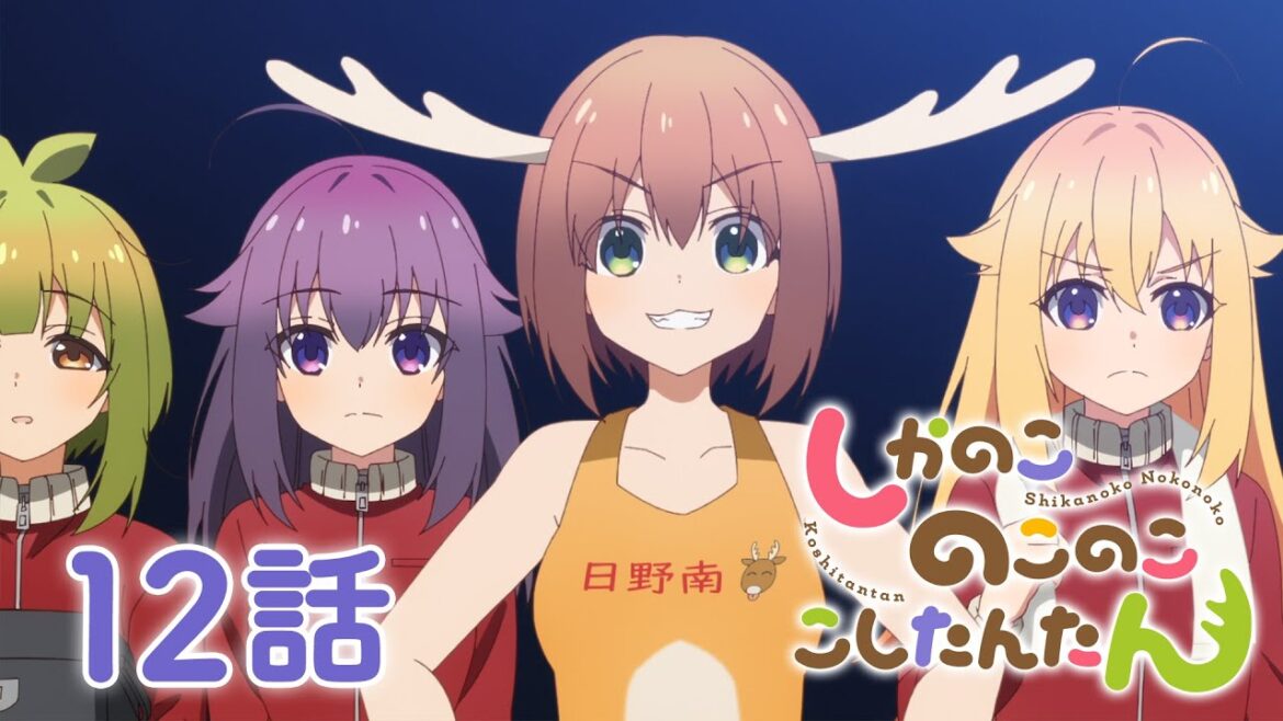 【12話】しかのこのこのここしたんたん 2024年12月30日(月)まで 全12話 期間限定イッキ見！【公式アニメ全話】【最終話】#しかのこ