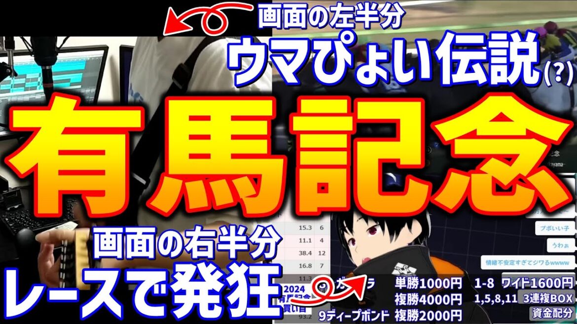 【競馬】画面の左半分でウマぴょい伝説を熱唱しながら右半分で有馬記念を楽しむオタク【有馬記念2024】【歌ってみた】【弾いてみた】