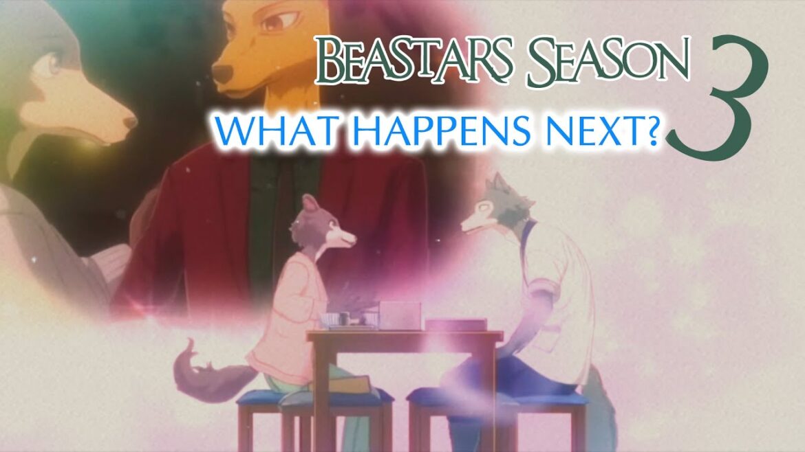 Juno Confronts Legoshi About Louis | Beastars Season 3 | English Dub – What Happens Next?