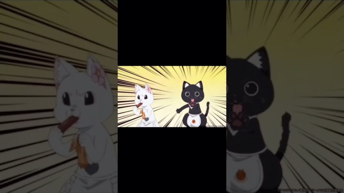 アニメ　『ラーメン赤猫』紹介